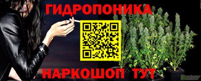 скорость Партизанск