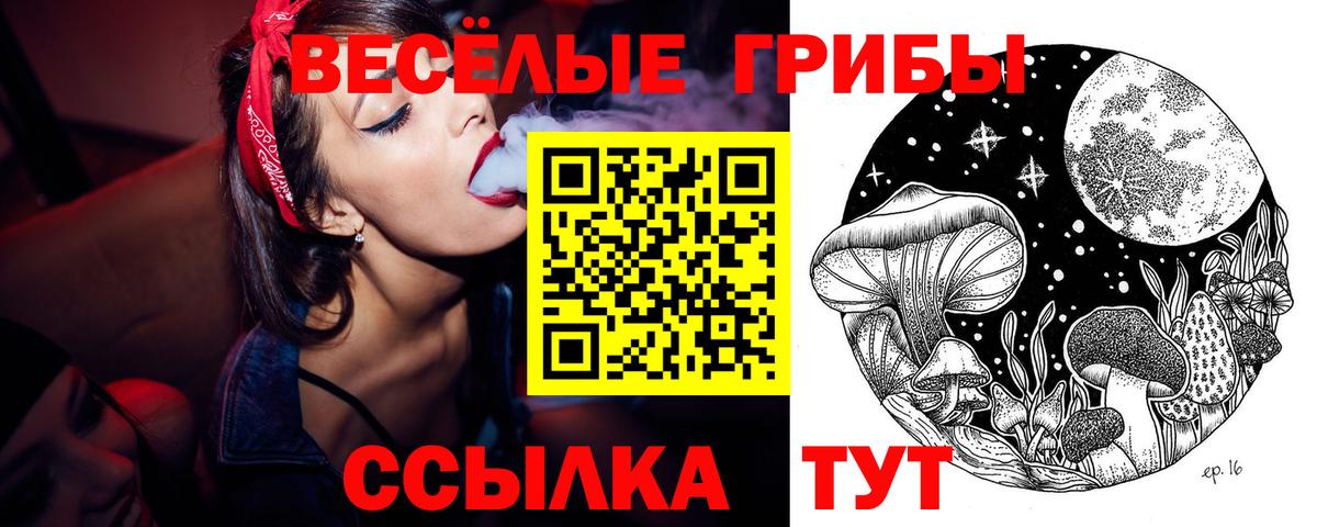Галлюциногенные грибы Psilocybine cubensis  Вход с VPN  Свободный 